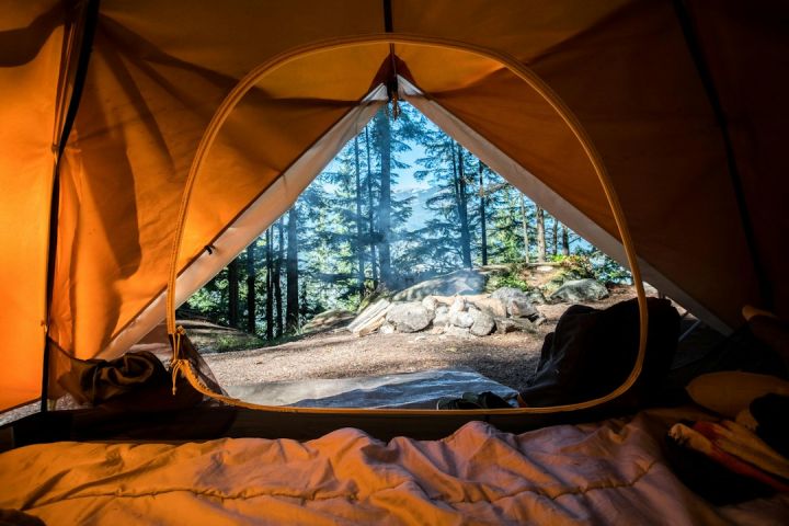 Camp - orange camping tent near green trees