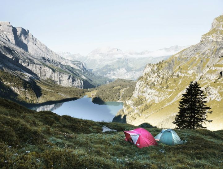 What to Look for in Bear-resistant Tents?