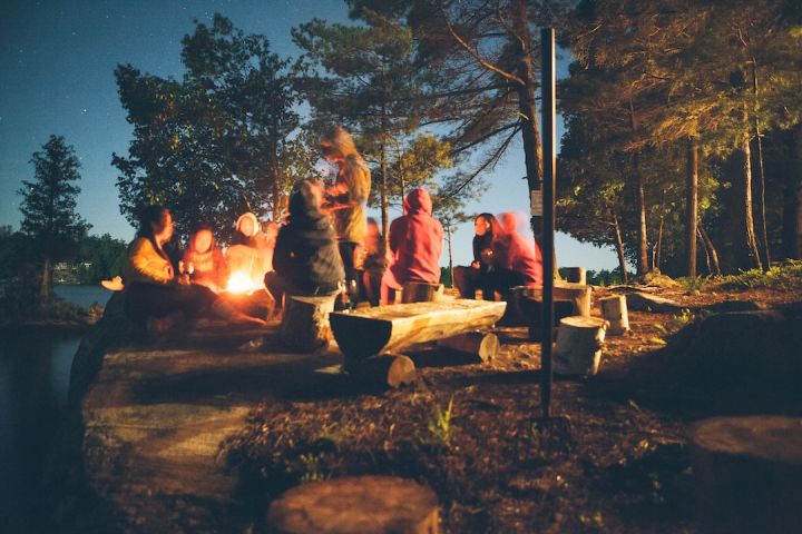 Camp - group of people near bonfire near trees during nighttime