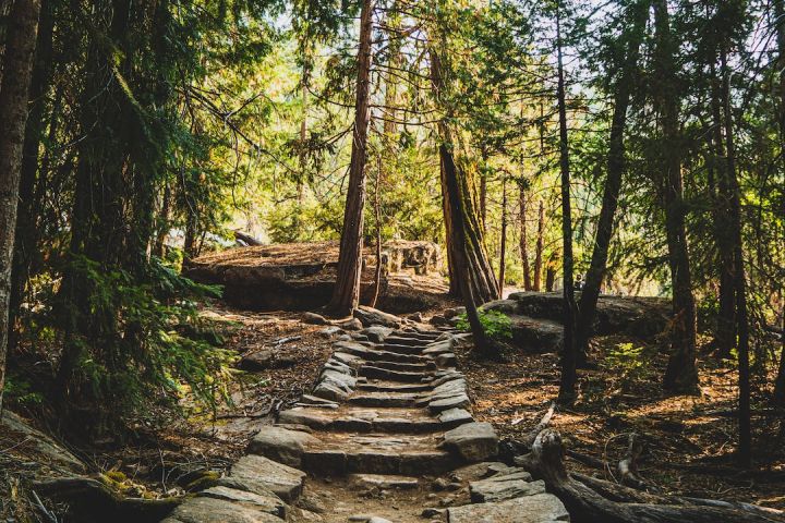 How to Choose the Safest Trails in Bear Territory?