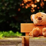 Bear - Brown Teddy Bear on Brown Wooden Bench Outside