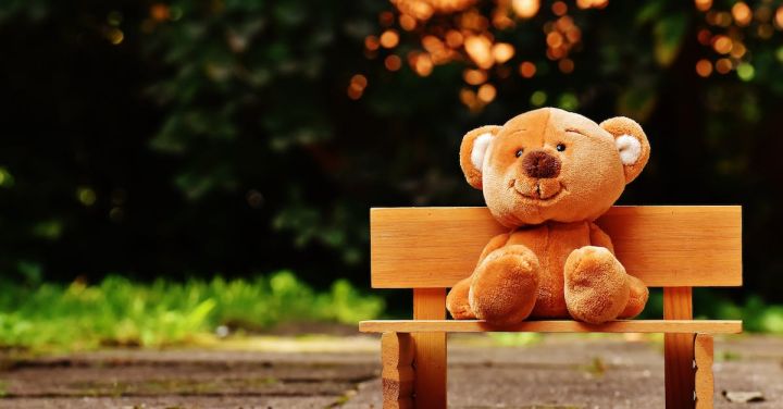Bear - Brown Teddy Bear on Brown Wooden Bench Outside