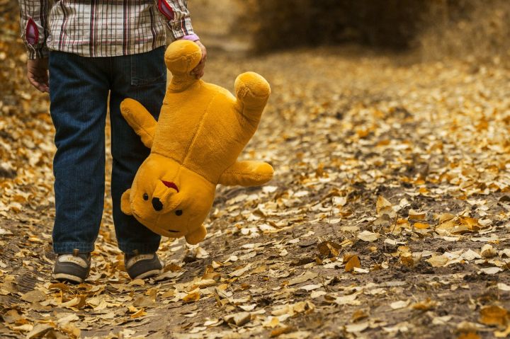 Bears - child, teddy bear, fall