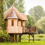 Tree House - brown wooden house in shallow focus