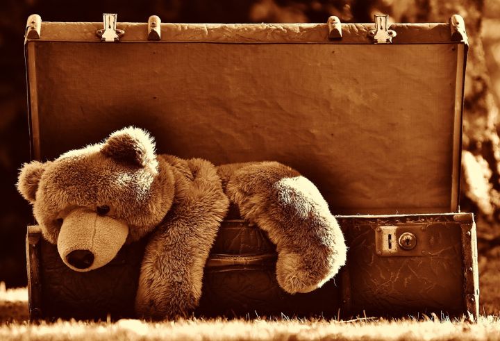 Bears - luggage, teddy bear, vintage