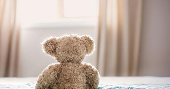 Bear Senses - Brown Bear Plush Toy On Bed