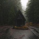 Quiet Trails - Small wooden house placed on paved route among coniferous trees in foggy day