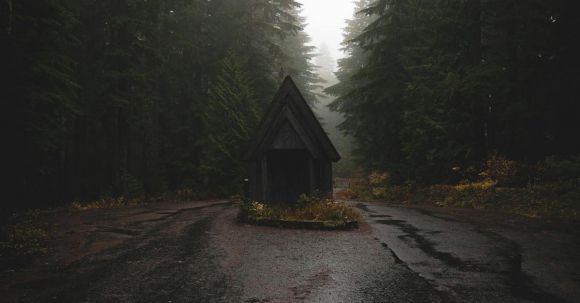 Quiet Trails - Small wooden house placed on paved route among coniferous trees in foggy day